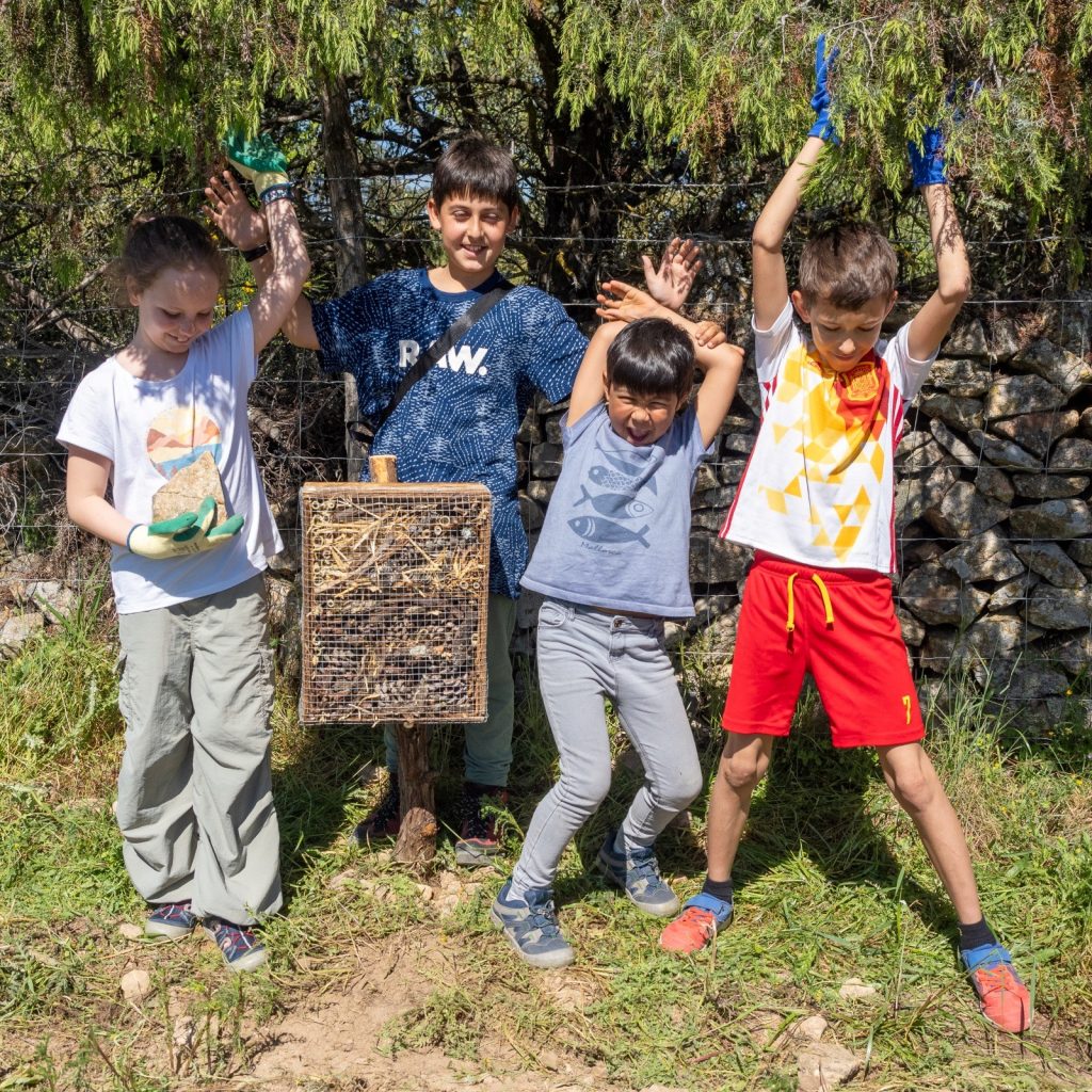 Albergues de insectos